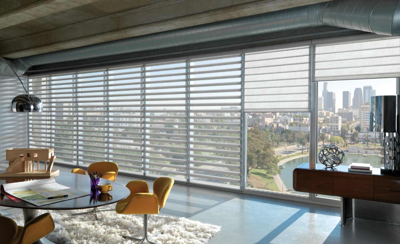 Hunter Douglas Pirouette® Sheer Shades near Oklahoma City, Oklahoma (OK)