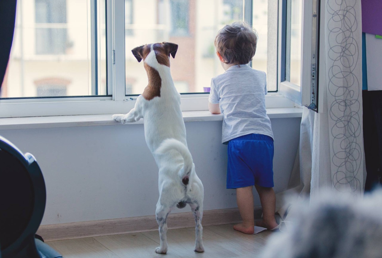 A dog and a young child standing at a window together at The Shady Lady Interiors near Oklahoma City, OK