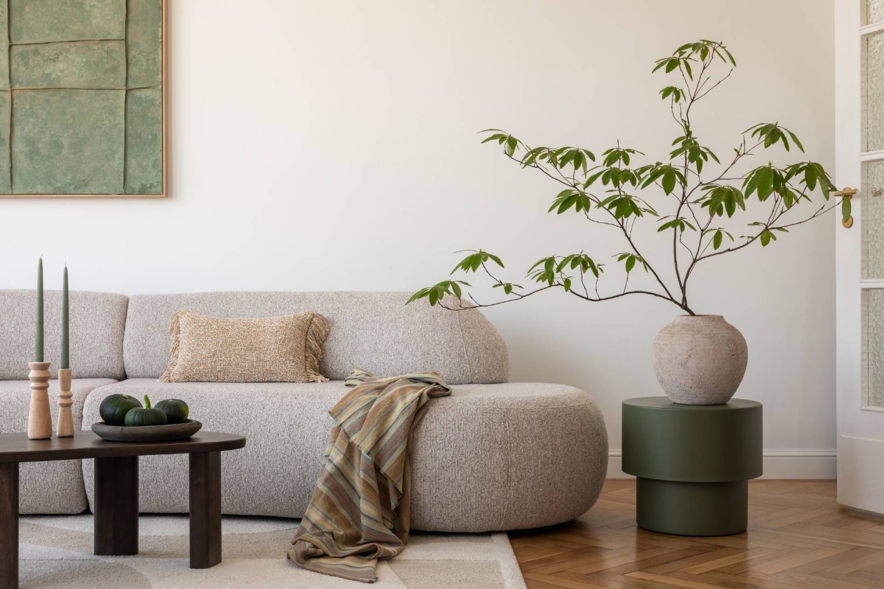 A contemporary living room with plants, candles, and a blanket near Oklahoma City, Oklahoma